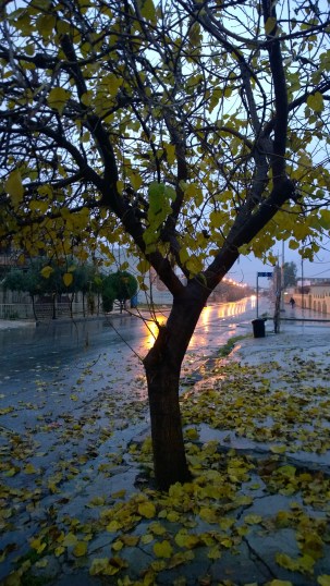 wp_20151230_07_18_57_pro