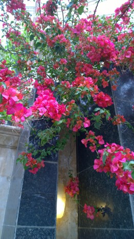 wp_20150410_13_04_59_pro