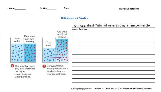 SCIENCE-7-CHP-3-1-diffusion of water