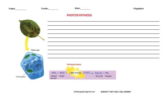 SCIENCE-7-CHP-3-2-photosynthesis