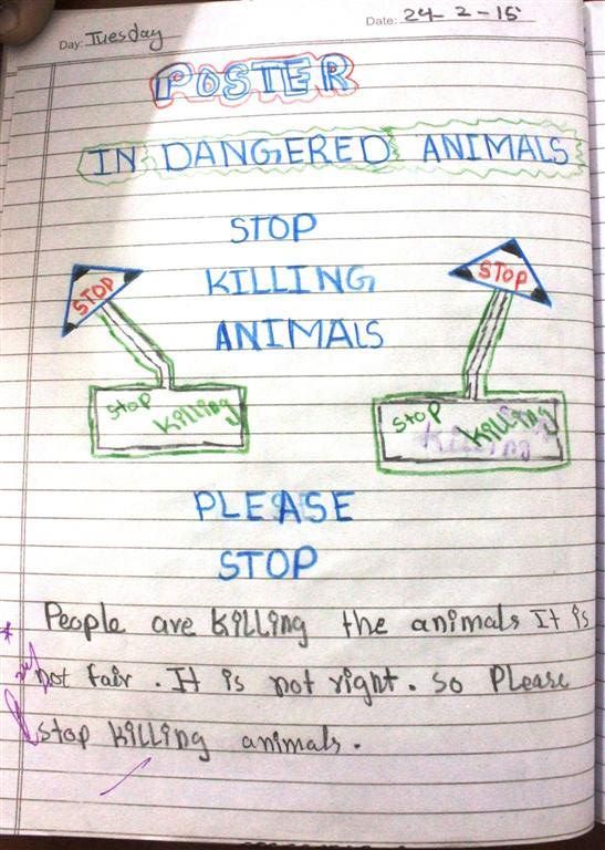 stop killing aninals