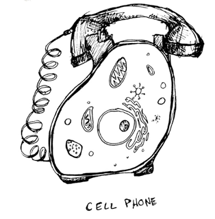 SCIENCE-Cell Phone