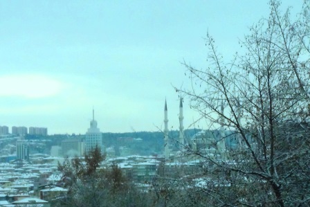 ???????????????????????????????