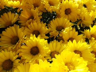 ???????????????????????????????