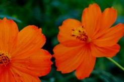 Mihribanla Ayaküstü Hasbihal