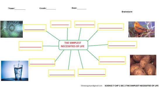 SCIENCE-7-CHP-1-2-simplest necess-life-BRAINSTORMING