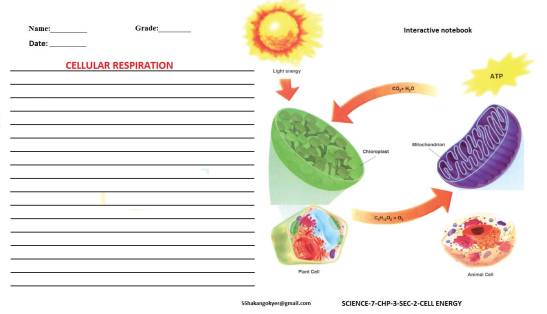 SCIENCE-7-CHP-3-2-cellular respiration