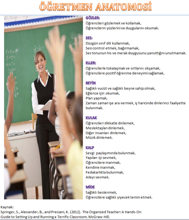 Öğretmen anatomosi